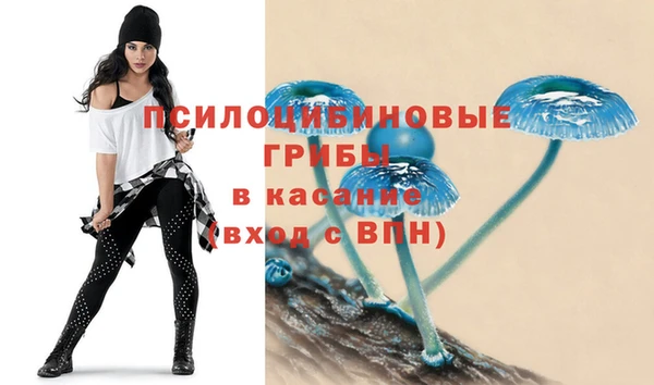 мяу мяу мука Богородицк