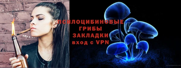 mix Богородск