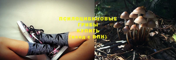 бошки Магас