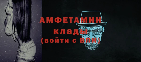 гашик Мегион
