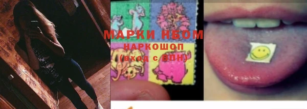 индика Бронницы