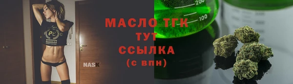 индика Бронницы