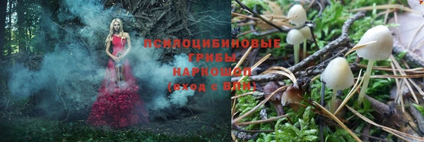 mix Богородск