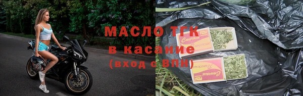 МДПВ Бородино