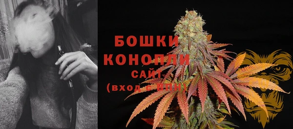 mix Богородск