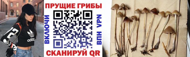 Галлюциногенные грибы мухоморы  Барыш 